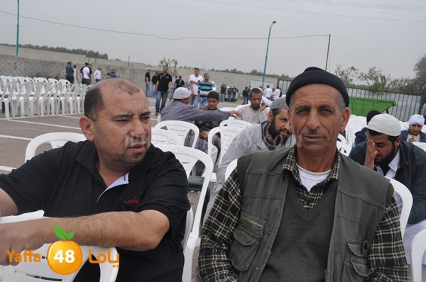 sol7 moneer lud 0308 (29).JPG